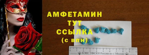 спиды Аркадак