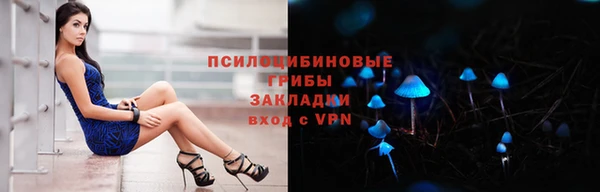 дмт Арсеньев