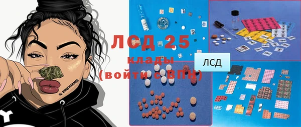 спиды Аркадак