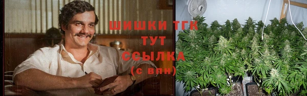дмт Арсеньев