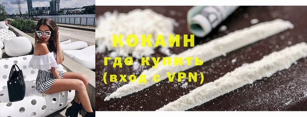mdpv Бородино