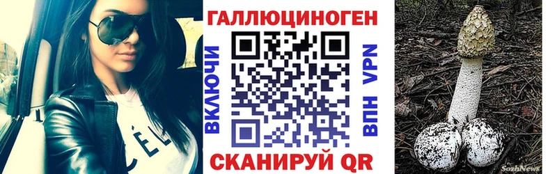 Псилоцибиновые грибы Magic Shrooms  наркотики  Красный Кут 